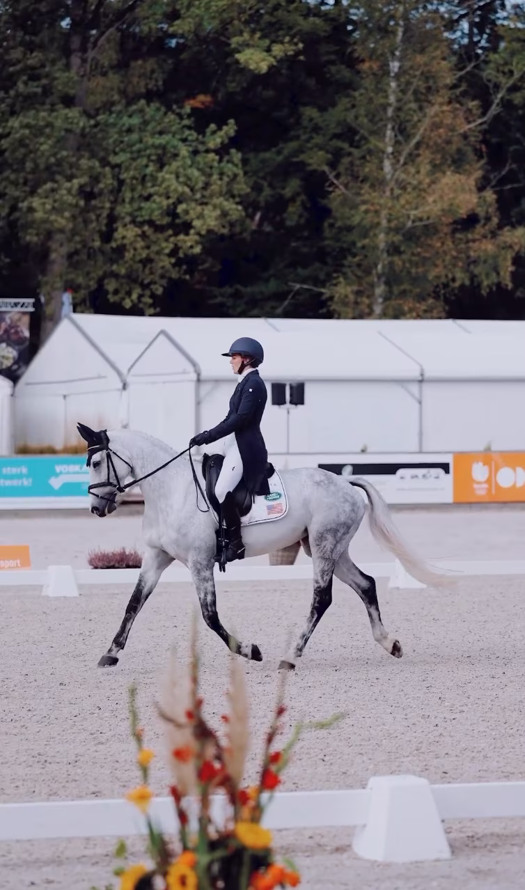 pau dressage